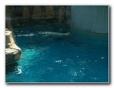 Lincoln-Park-Zoo-Chicago-063