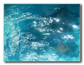 Lincoln-Park-Zoo-Chicago-064