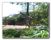 Lincoln-Park-Zoo-Chicago-065