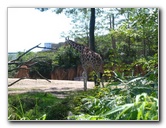 Lincoln-Park-Zoo-Chicago-066