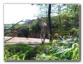 Lincoln-Park-Zoo-Chicago-067