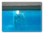 Lincoln-Park-Zoo-Chicago-068