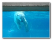 Lincoln-Park-Zoo-Chicago-069