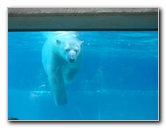 Lincoln-Park-Zoo-Chicago-070