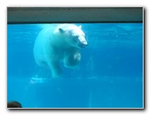 Lincoln-Park-Zoo-Chicago-071