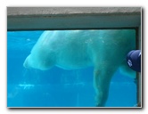 Lincoln-Park-Zoo-Chicago-072