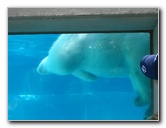 Lincoln-Park-Zoo-Chicago-073