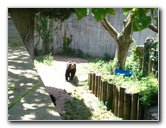 Lincoln-Park-Zoo-Chicago-075