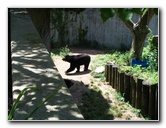 Lincoln-Park-Zoo-Chicago-076