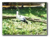 Lincoln-Park-Zoo-Chicago-078