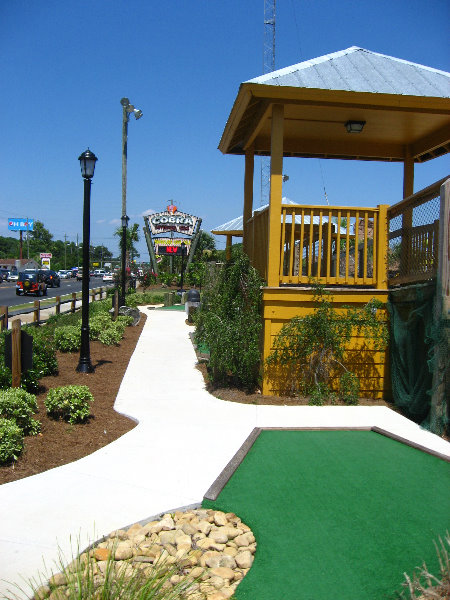 Cobra-Adventure-Park-Panama-City-FL-027