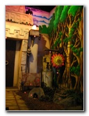 Cobra-Adventure-Park-Panama-City-FL-008