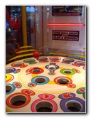 Cobra-Adventure-Park-Panama-City-FL-011