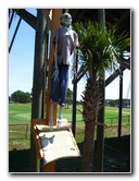 Cobra-Adventure-Park-Panama-City-FL-024