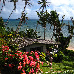 Coconut Grove Resort - Taveuni, Fiji