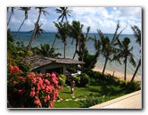 Coconut Grove Resort - Taveuni Island, Fiji