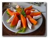 Coconut-Grove-Resort-Taveuni-Island-Fiji-007