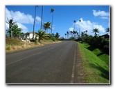 Coconut-Grove-Resort-Taveuni-Island-Fiji-013