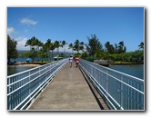 Coconut-Island-Park-Hilo-Bay-Big-Island-Hawaii-009
