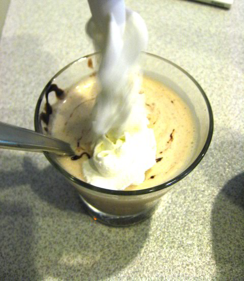 Cold-Brew-Coffee-Iced-Dessert-Drink-Recipe-028