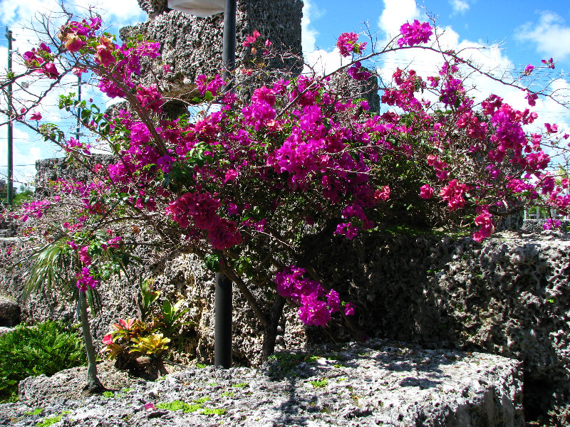 Coral-Castle-Homestead-FL052