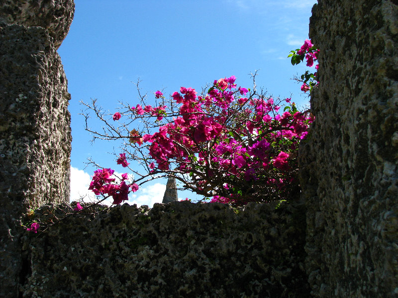 Coral-Castle-Homestead-FL087