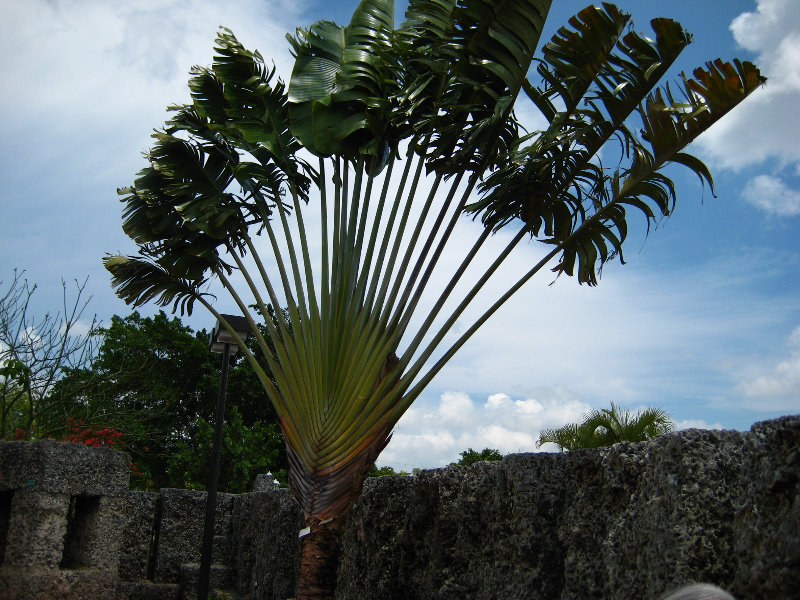 Coral-Castle-Homestead-FL103