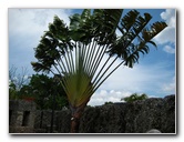 Coral-Castle-Homestead-FL103