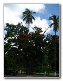 Country-Inn-and-Suites-Amador-Panama-City-017