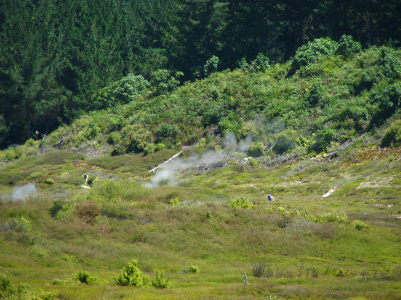 Craters-of-the-Moon-Geothermal-Walk-Taupo-New-Zealand-004