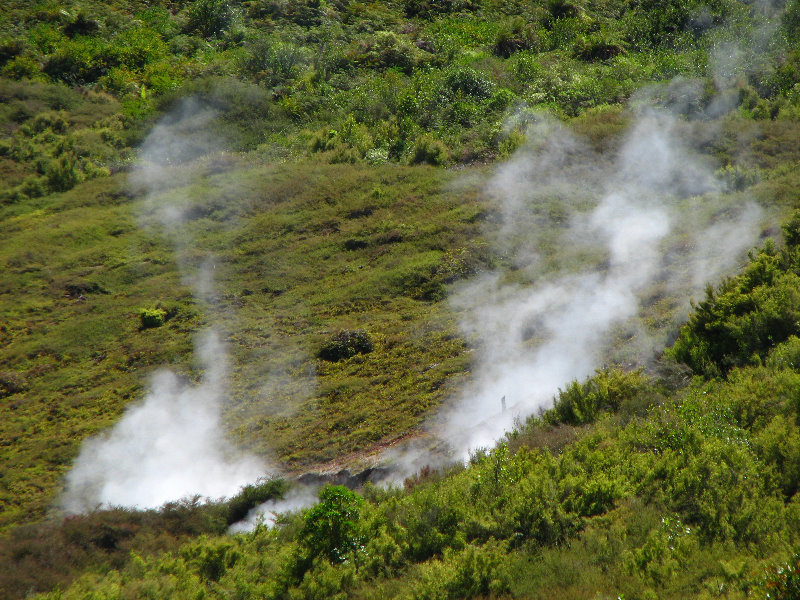 Craters-of-the-Moon-Geothermal-Walk-Taupo-New-Zealand-008