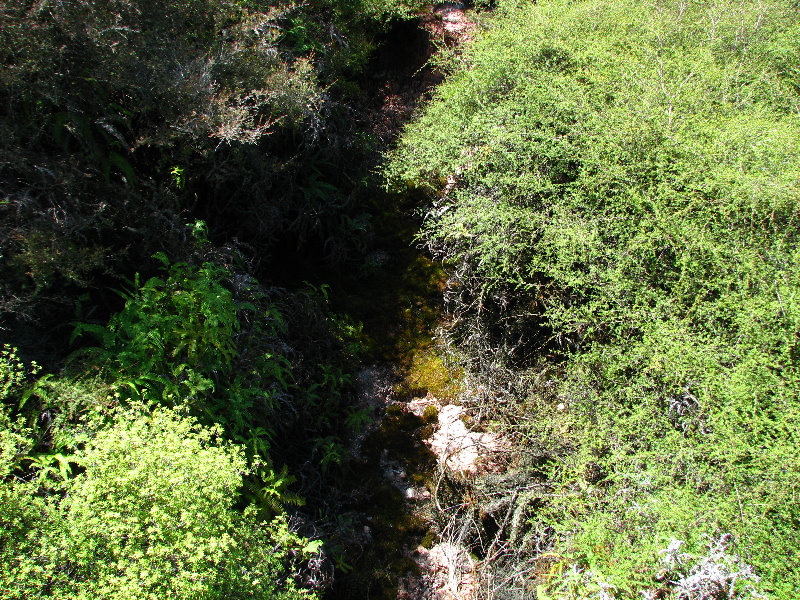 Craters-of-the-Moon-Geothermal-Walk-Taupo-New-Zealand-016