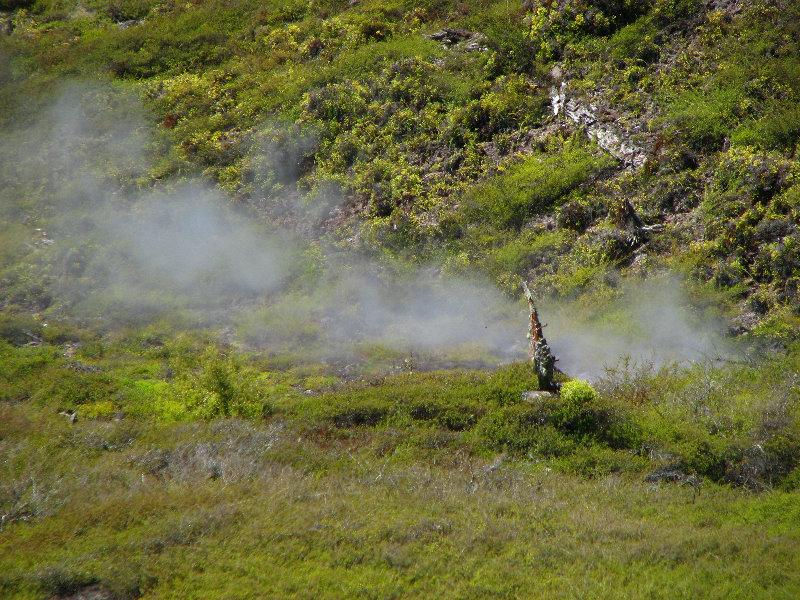 Craters-of-the-Moon-Geothermal-Walk-Taupo-New-Zealand-024