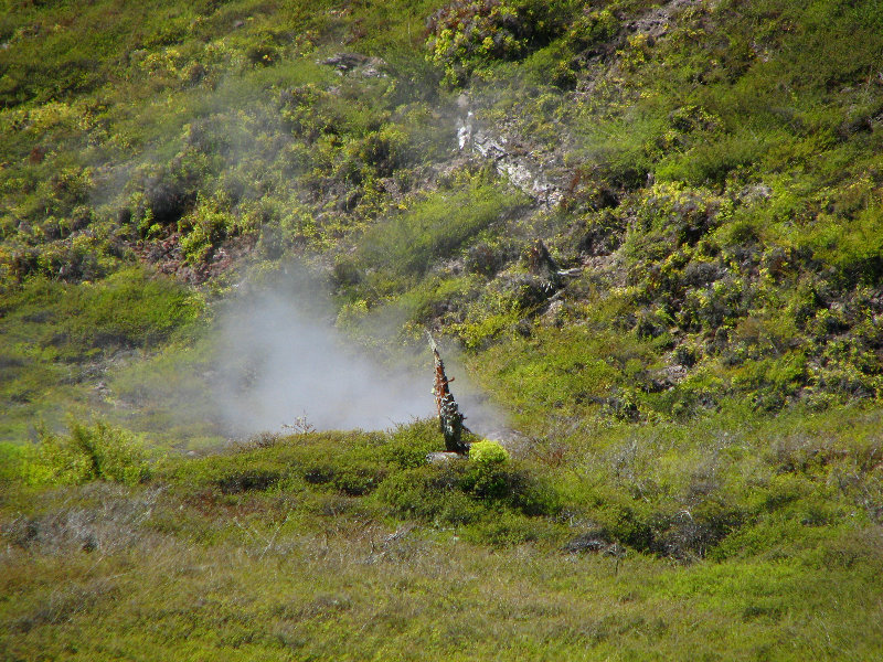 Craters-of-the-Moon-Geothermal-Walk-Taupo-New-Zealand-025