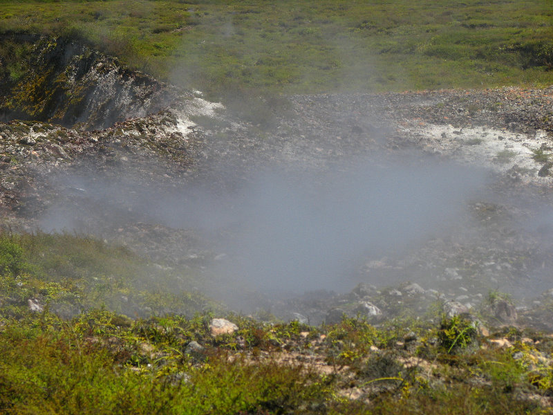 Craters-of-the-Moon-Geothermal-Walk-Taupo-New-Zealand-026
