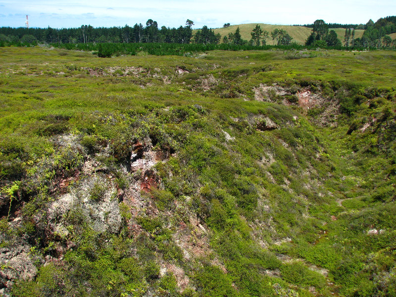 Craters-of-the-Moon-Geothermal-Walk-Taupo-New-Zealand-030