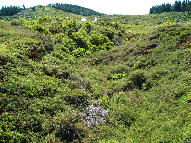 Craters-of-the-Moon-Geothermal-Walk-Taupo-New-Zealand-031
