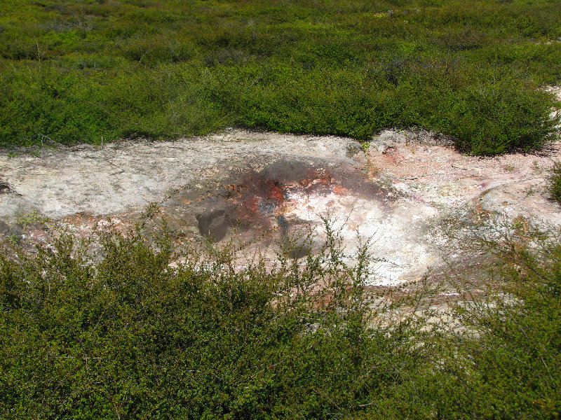 Craters-of-the-Moon-Geothermal-Walk-Taupo-New-Zealand-034