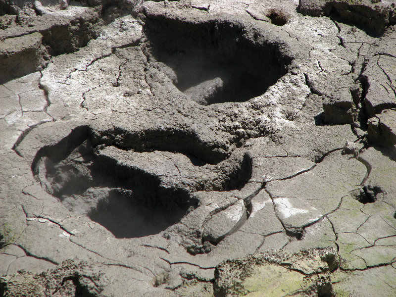 Craters-of-the-Moon-Geothermal-Walk-Taupo-New-Zealand-037