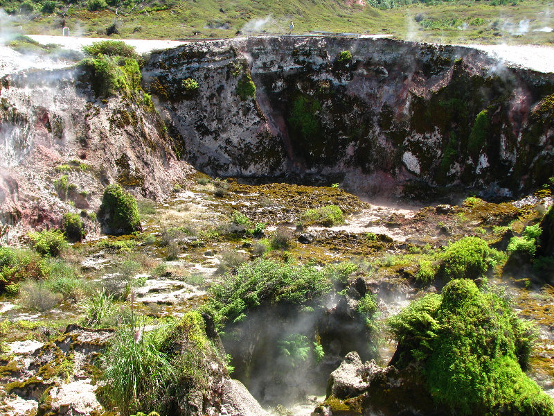 Craters-of-the-Moon-Geothermal-Walk-Taupo-New-Zealand-039