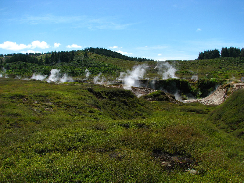 Craters-of-the-Moon-Geothermal-Walk-Taupo-New-Zealand-044