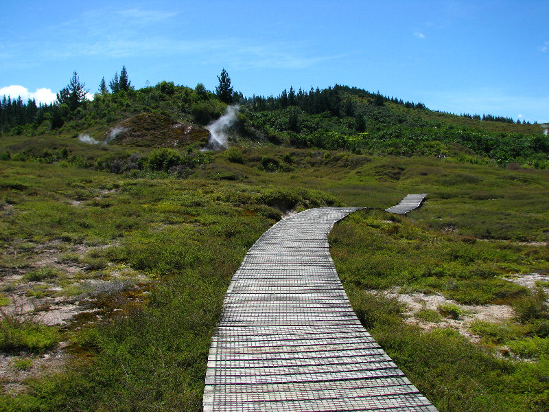 Craters-of-the-Moon-Geothermal-Walk-Taupo-New-Zealand-048
