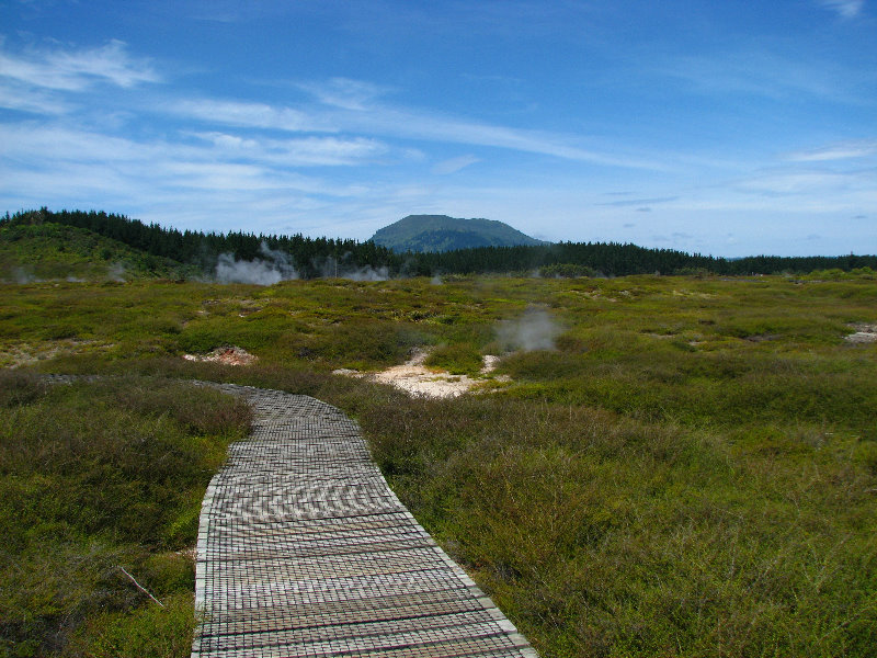 Craters-of-the-Moon-Geothermal-Walk-Taupo-New-Zealand-049