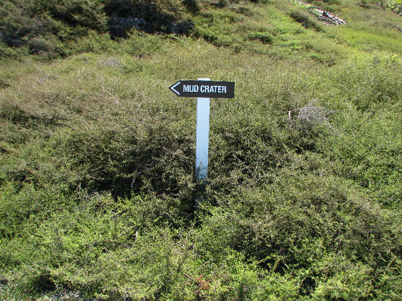 Craters-of-the-Moon-Geothermal-Walk-Taupo-New-Zealand-050