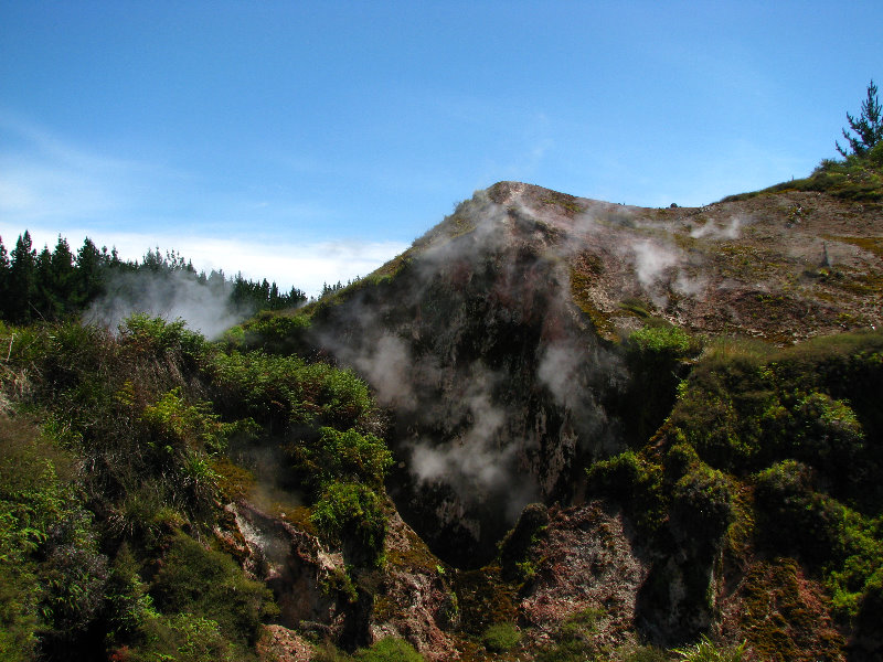 Craters-of-the-Moon-Geothermal-Walk-Taupo-New-Zealand-052