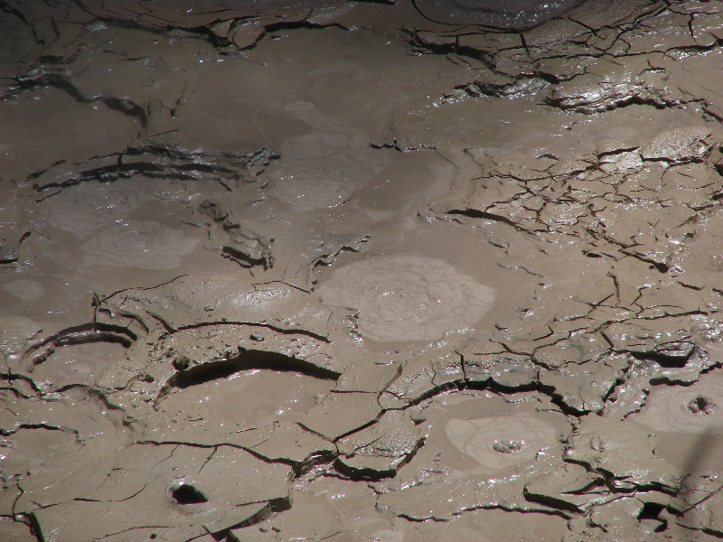 Craters-of-the-Moon-Geothermal-Walk-Taupo-New-Zealand-054