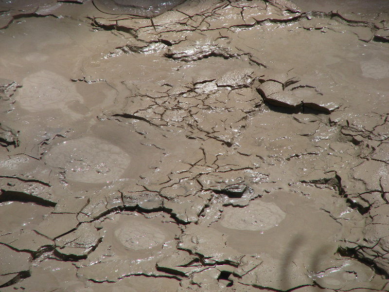 Craters-of-the-Moon-Geothermal-Walk-Taupo-New-Zealand-059