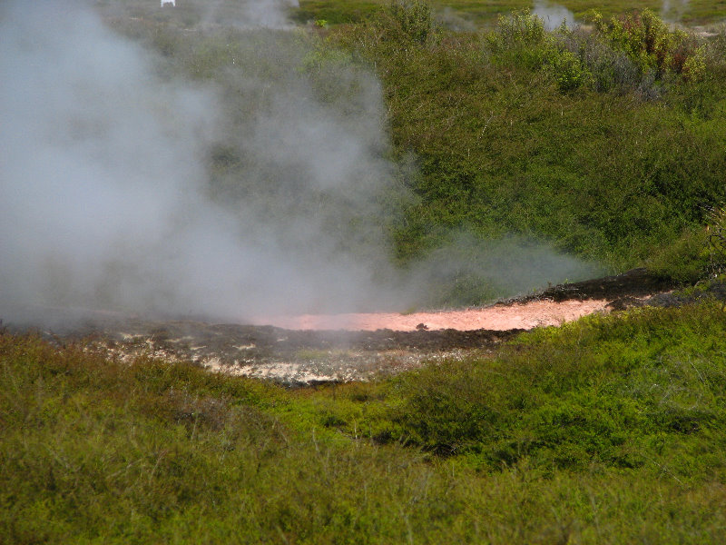 Craters-of-the-Moon-Geothermal-Walk-Taupo-New-Zealand-062