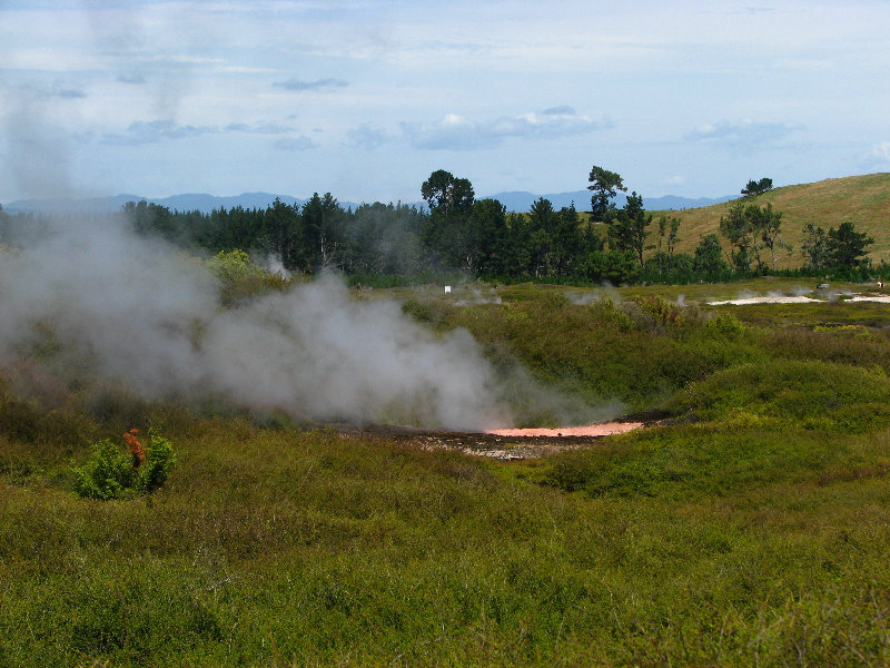 Craters-of-the-Moon-Geothermal-Walk-Taupo-New-Zealand-063