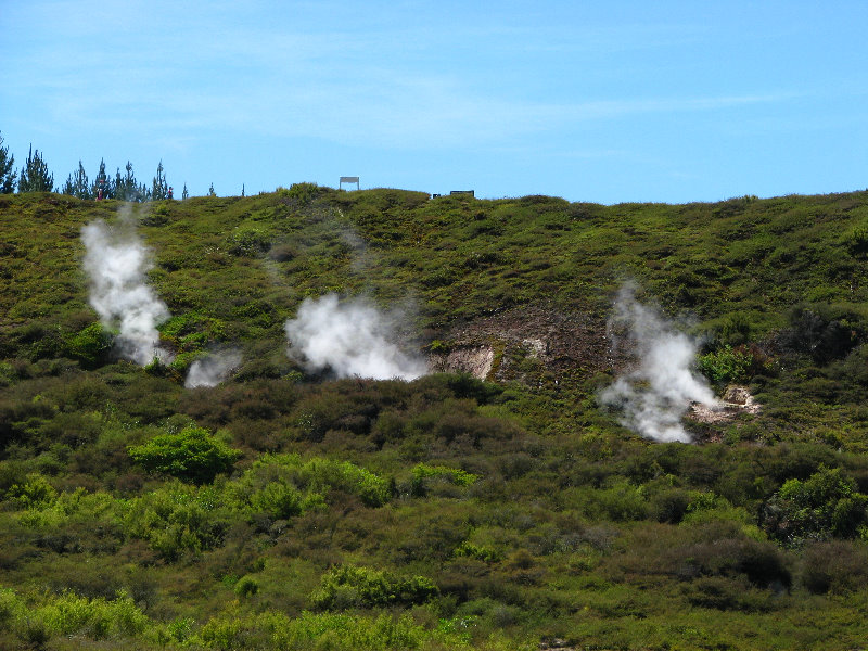 Craters-of-the-Moon-Geothermal-Walk-Taupo-New-Zealand-064